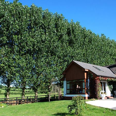 The Bungalow Farmhouse Clomantagh Exterior photo