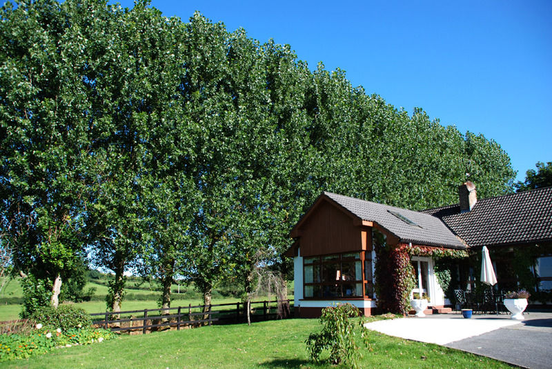 The Bungalow Farmhouse Clomantagh Exterior photo
